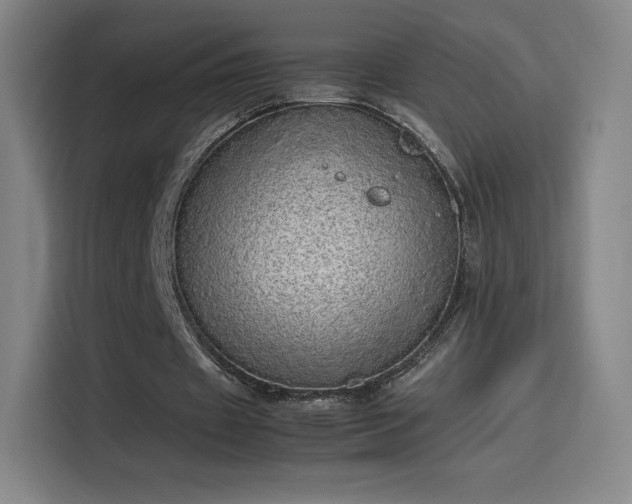 X0000114220433200910161310