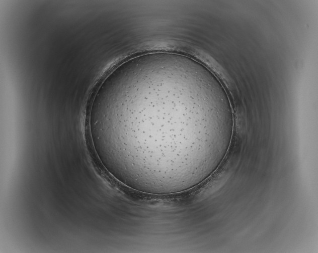 X0000114220434200910161310