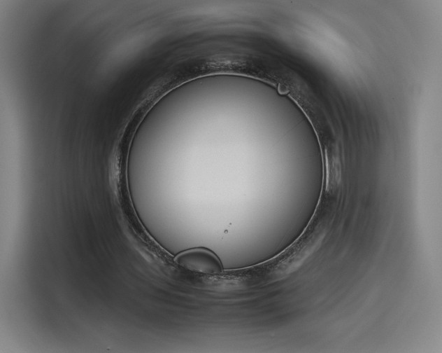 X0000114220435200910161310