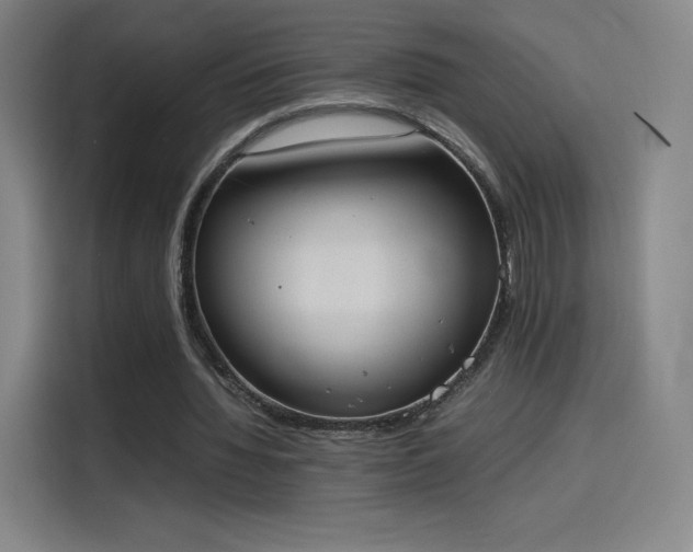 X0000114220436200910161310