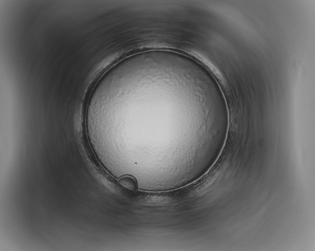 X0000114220437200910161310