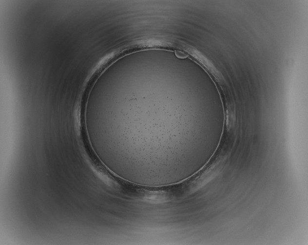 X0000114220438200910161311