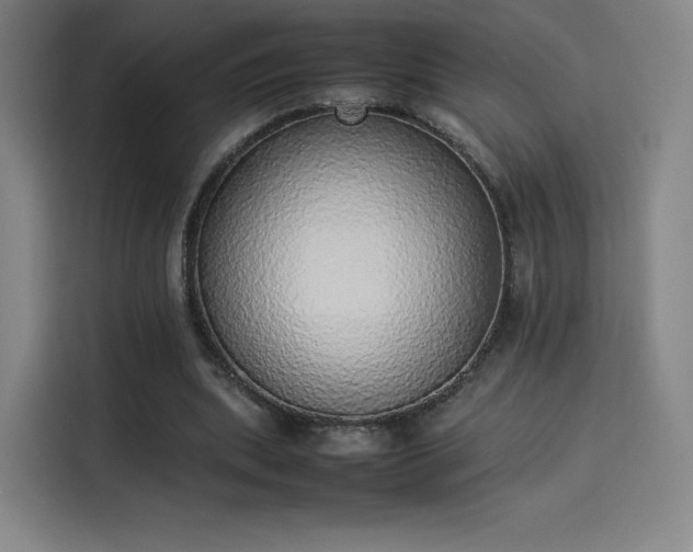 X0000114220439200910161311