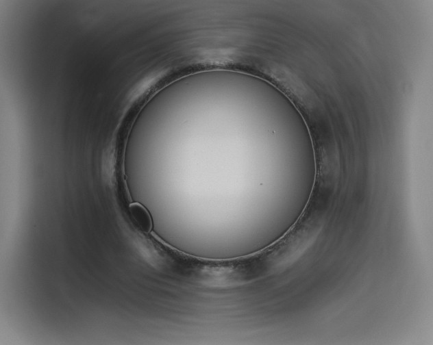 X0000114220440200910161311