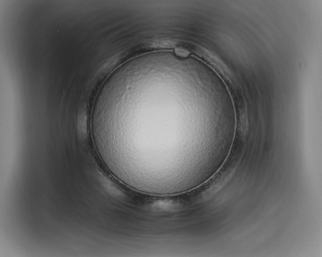 X0000114220441200910161311