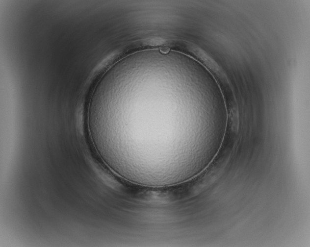 X0000114220442200910161311