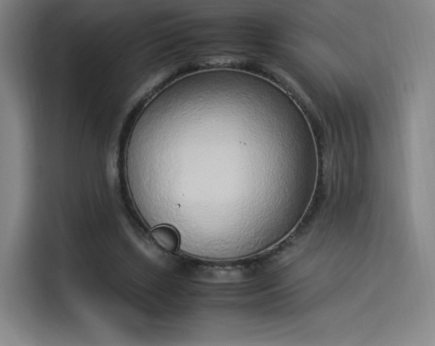 X0000114220443200910161311