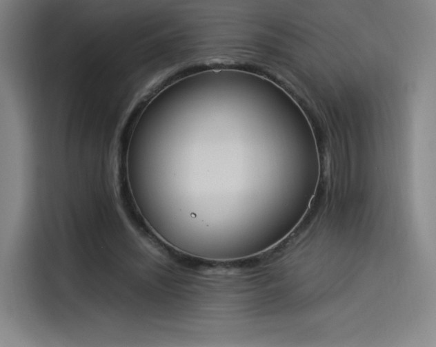 X0000114220444200910161311