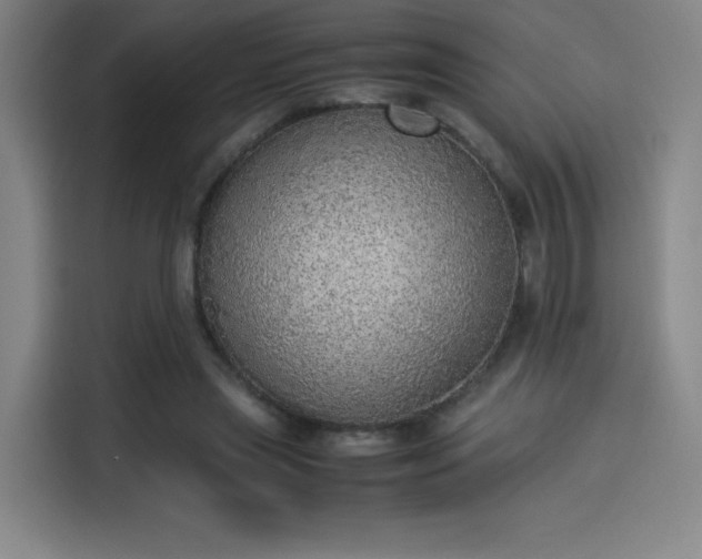 X0000114220445200910161311