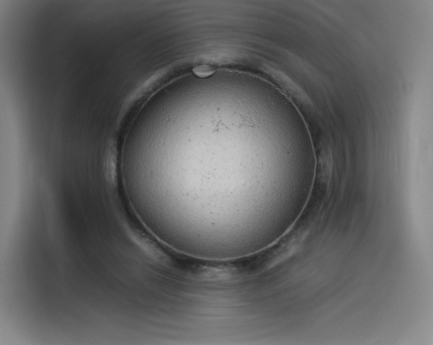 X0000114220446200910161311