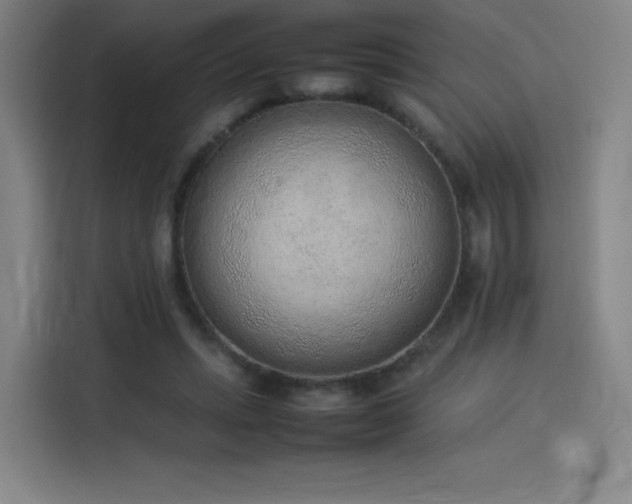 X0000114220447200910161311