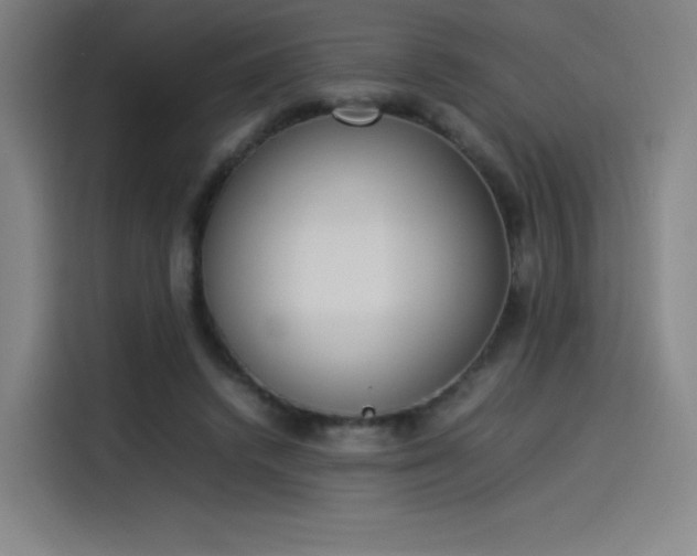 X0000114220448200910161311