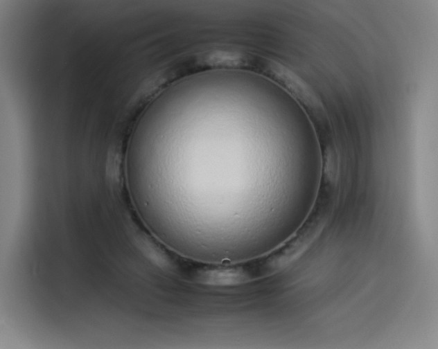 X0000114220449200910161311