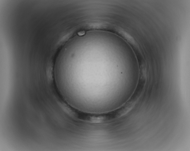 X0000114220450200910161311