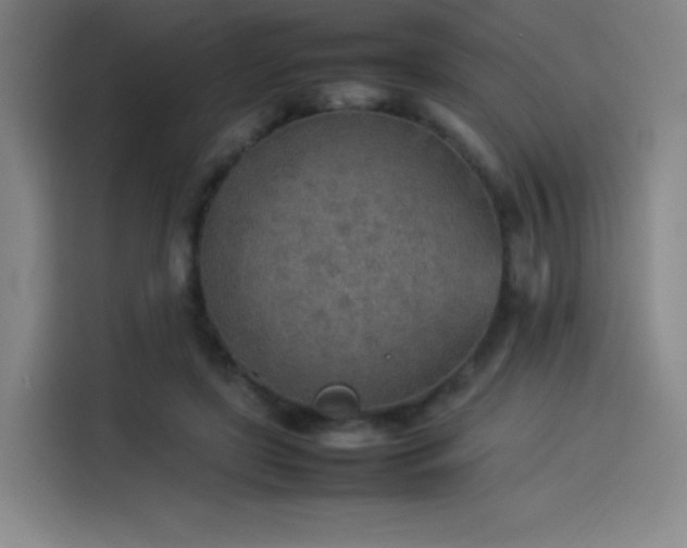 X0000114220451200910161311