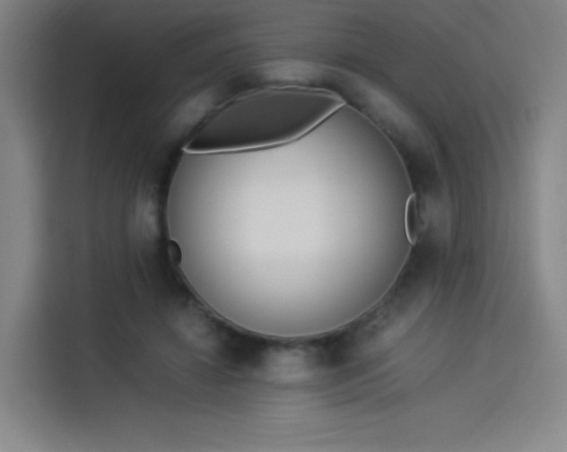 X0000114220452200910161311