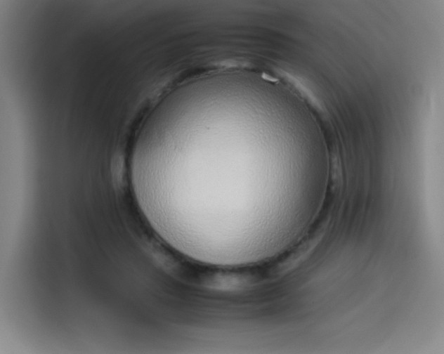 X0000114220453200910161311