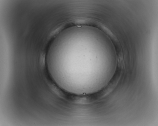 X0000114220454200910161311