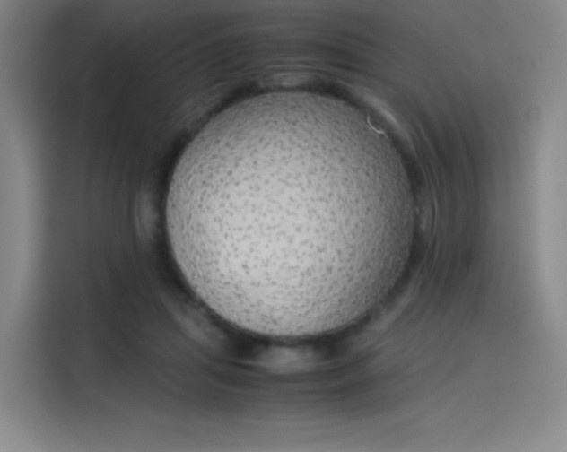 X0000114220455200910161311