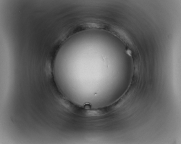 X0000114220457200910161311