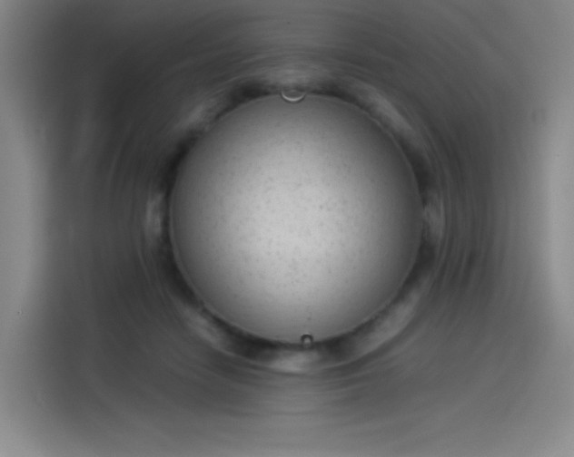 X0000114220458200910161311