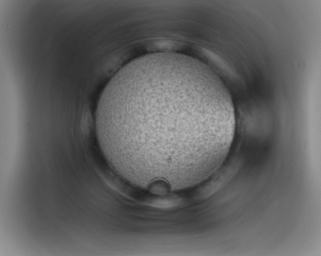 X0000114220459200910161311