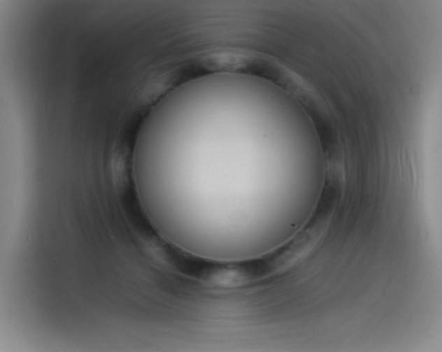 X0000114220460200910161311