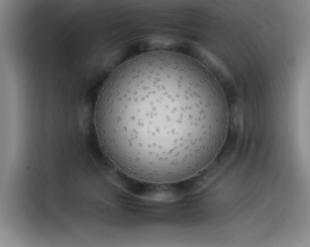 X0000114220463200910161311