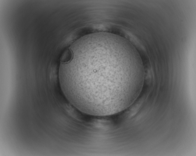 X0000114220466200910161311