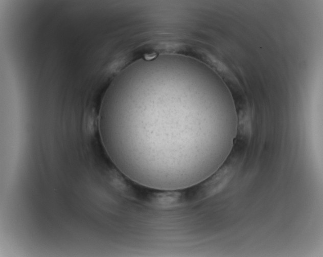 X0000114220474200910161311