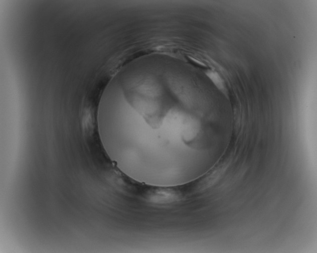 X0000114220475200910161311