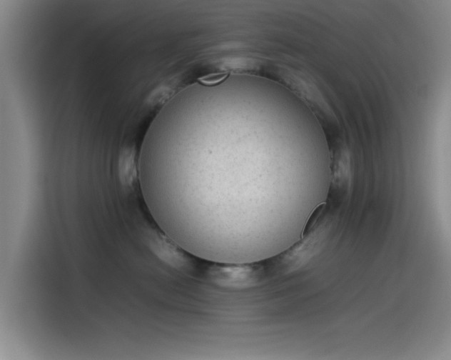 X0000114220478200910161311