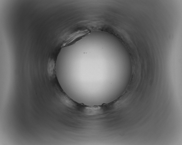 X0000114220480200910161311