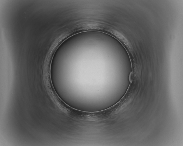 X0000114220481200910161310