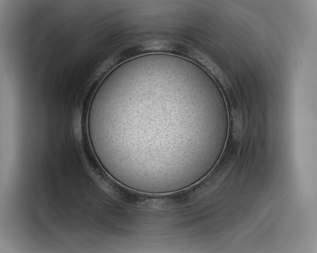 X0000114220482200910161310