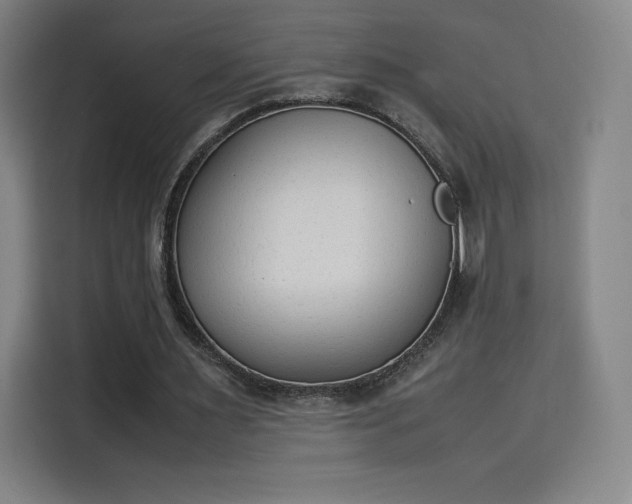 X0000114220483200910161310