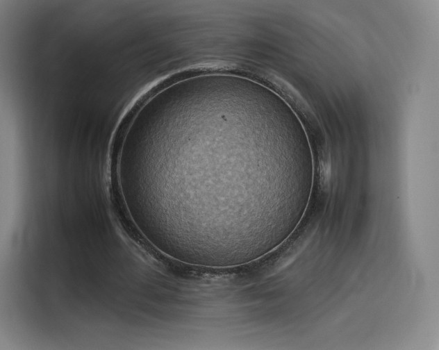 X0000114220484200910161310