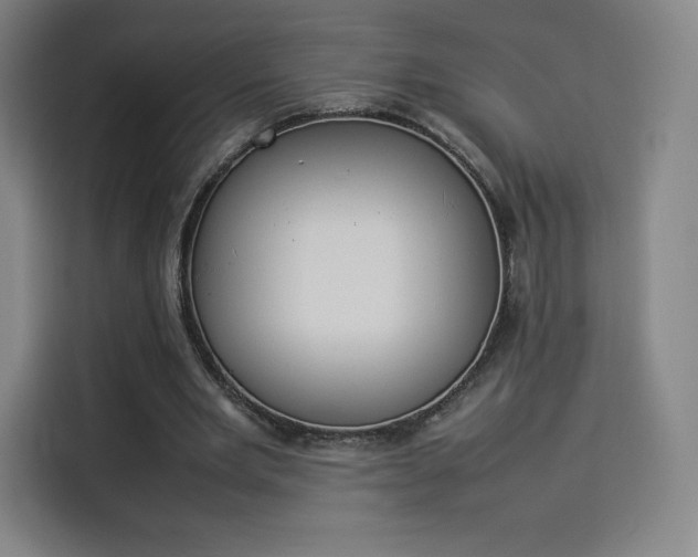 X0000114220485200910161310