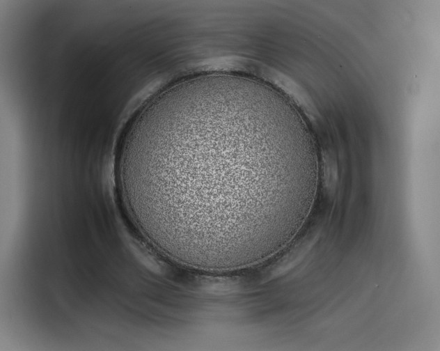 X0000114220486200910161310