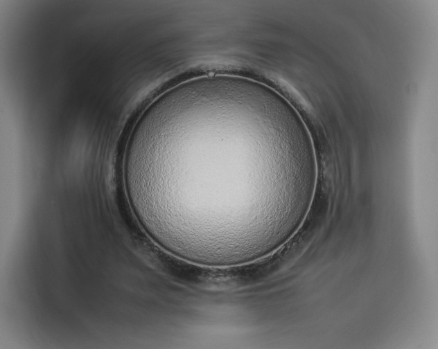 X0000114220487200910161310