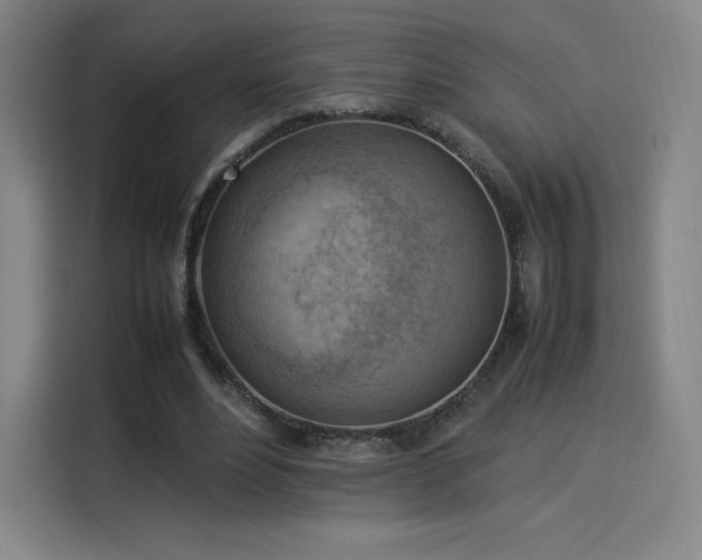 X0000114220488200910161310