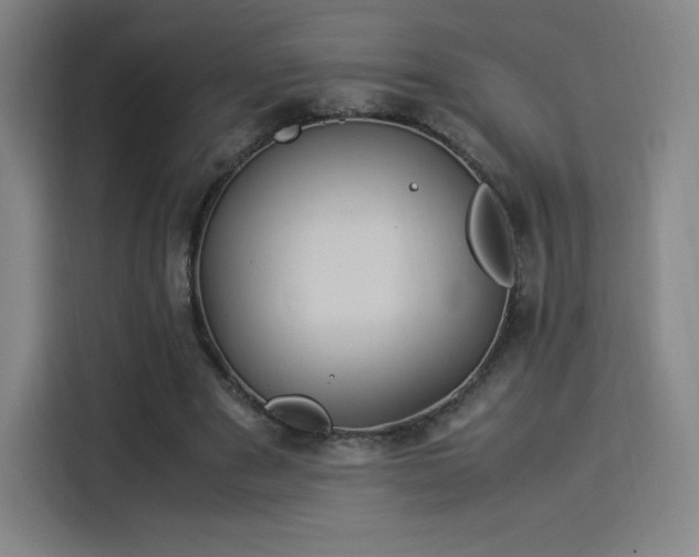 X0000114220489200910161310