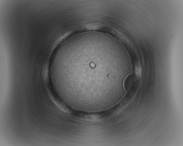 X0000114220492200910161310