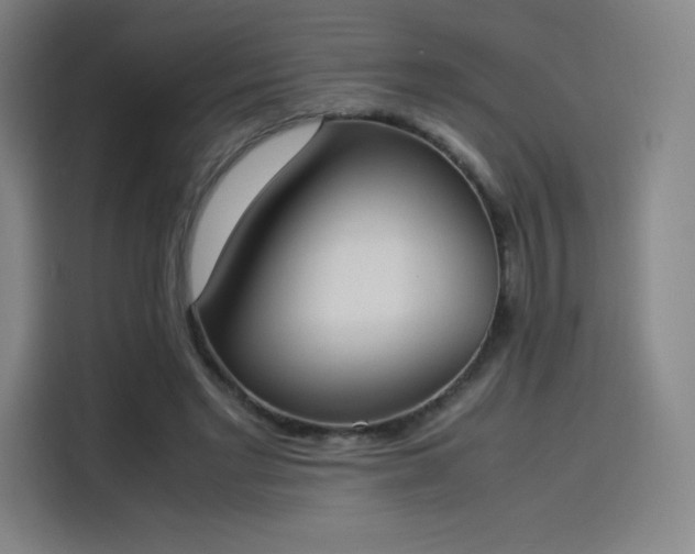 X0000114220493200910161310