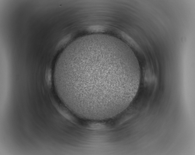 X0000114220494200910161310