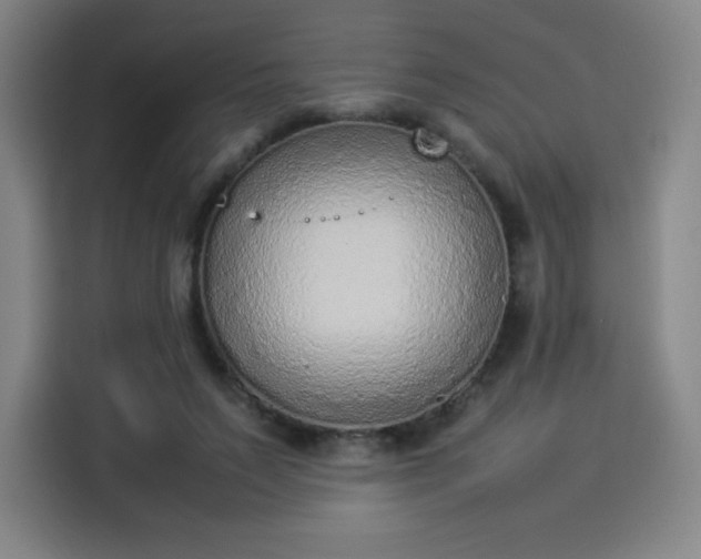 X0000114220495200910161310