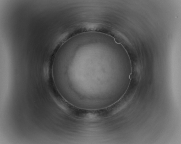 X0000114220496200910161310