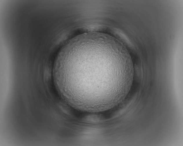 X0000114220499200910161310