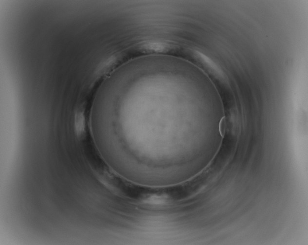 X0000114220500200910161310