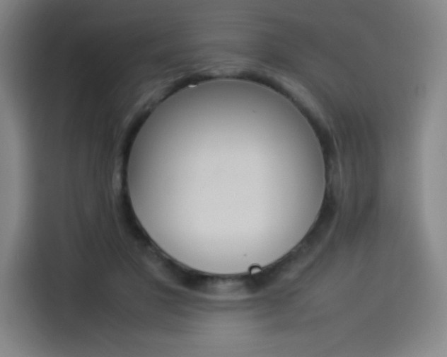 X0000114220501200910161310